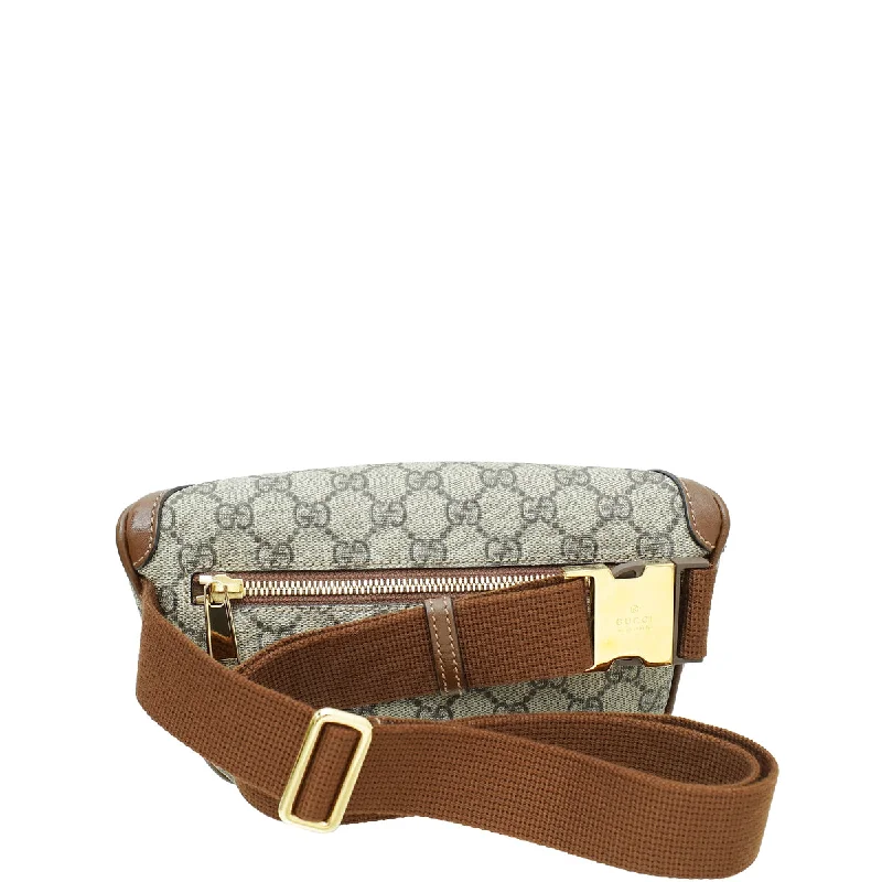 Ladies Gucci Dionysus bags in a pastel colorGucci Tricolor GG Supreme Interlocking G Belt Bag